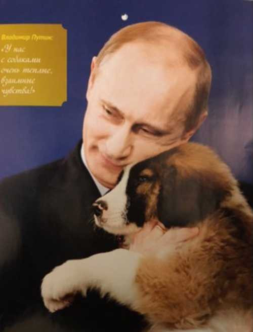 Tháng 11. Những chú chó và tôi luôn dành tình cảm ấm áp cho nhau. 