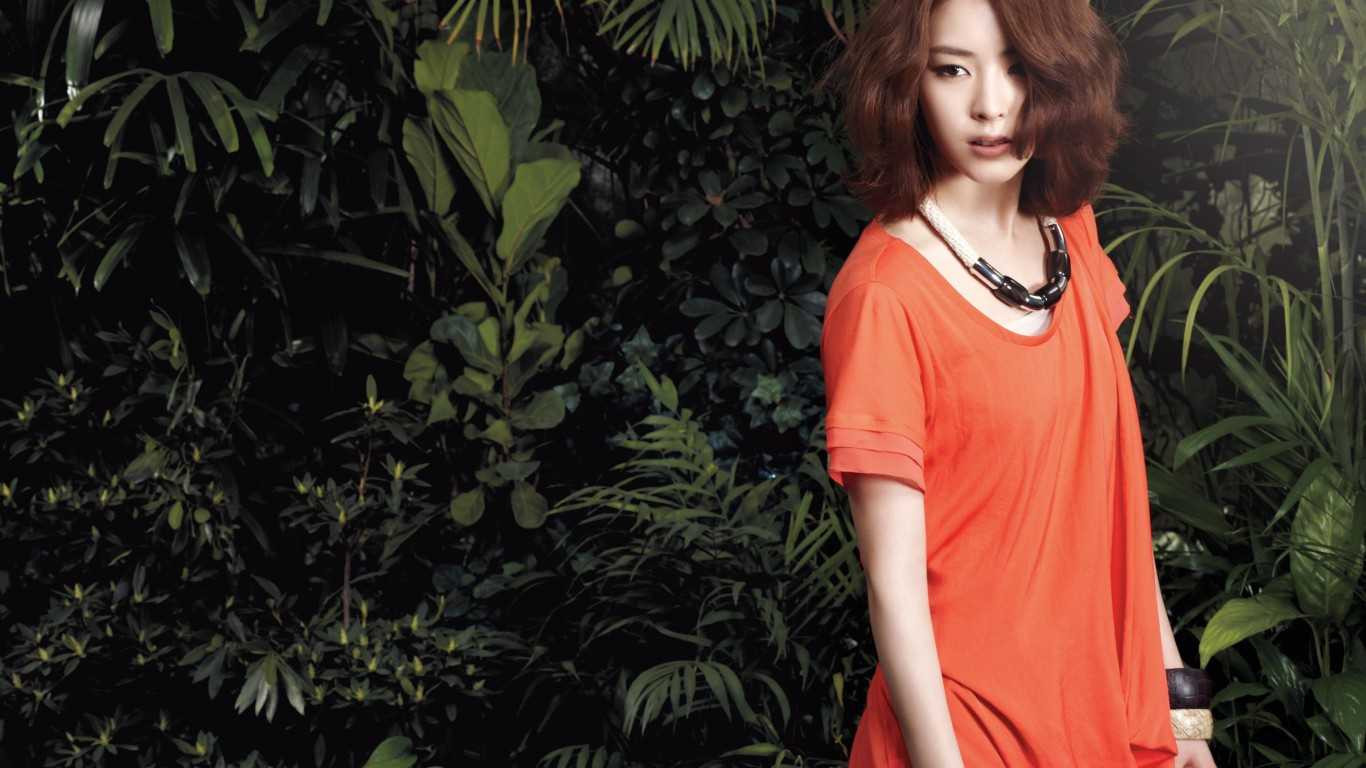 Xem tử vi cho người tuổi Sửu trong năm 2016