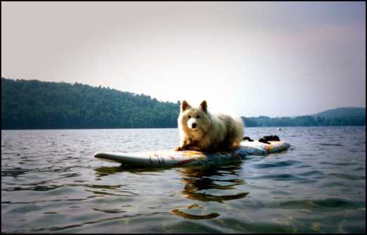 8 điều nên bỏ lại sau lưng để bước vào năm mới 2016 đầy sắc hồng