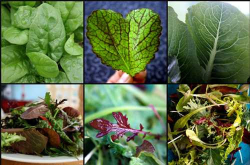 Cẩn thận với ruột già - sát thủ gây ra 90% bệnh tật trong cơ thể