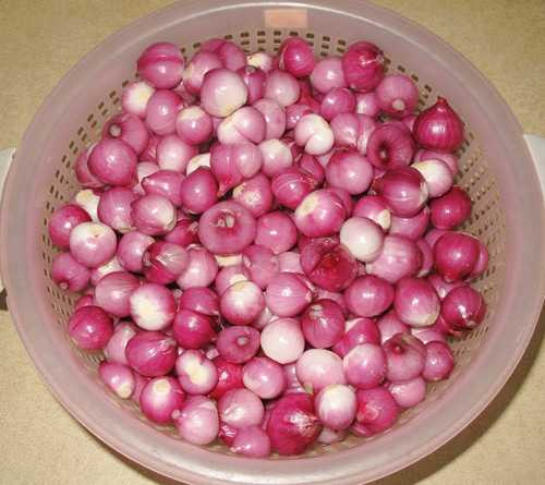 Làm dưa hành muối ngon giòn đón Tết