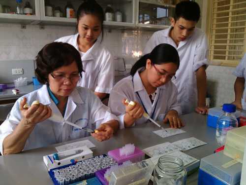 GS Nguyễn Thị Kim Lan, ngoài cùng bên phải, trong phòng thí nghiệm tại Đại học Nông lâm Thái Nguyên. Ảnh do nhân vật cung cấp