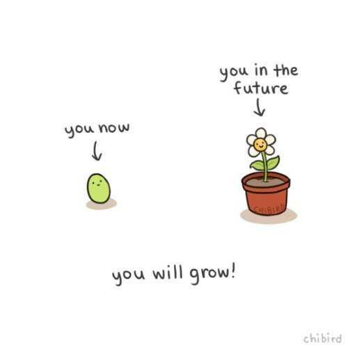 13 bức sẽ đáng yêu