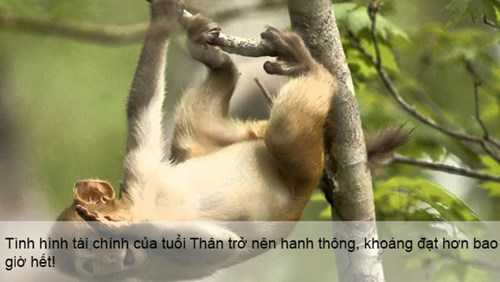 Những con giáp hứa hẹn được thần tài ưu ái năm 2016