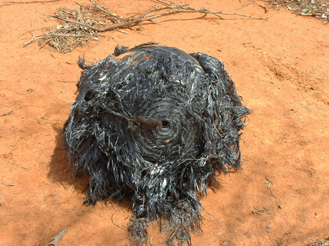 Quả cầu dị dạng này được cho là phần đựng nhiên liệu của một tên lửa