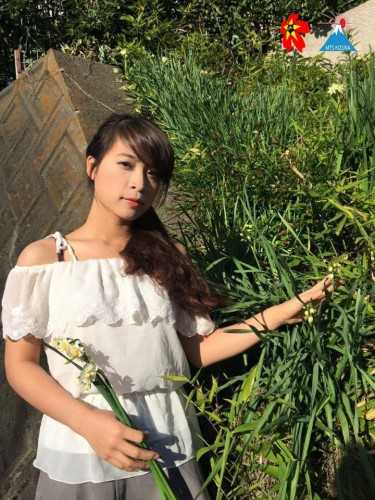 Top 17 cô gái tài sắc nhất lọt vào chung khảo cuộc thi Miss VISA