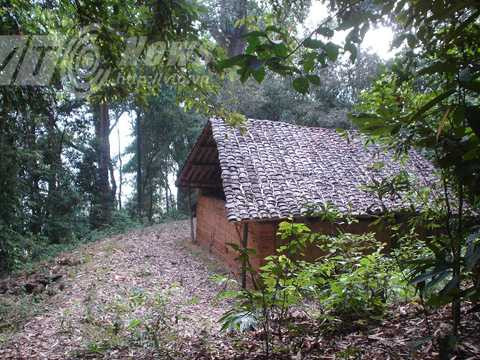 Ngôi đền thiêng giữa rừng cấm