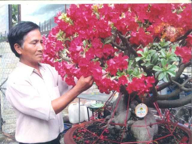 Nghệ nhân Hai Phượng (xã Hưng Long, Bình Chánh) và tác phẩm nghệ thuật hoa sứ Medium vừa nhập từ Thái Lan. Ảnh: T.Đ