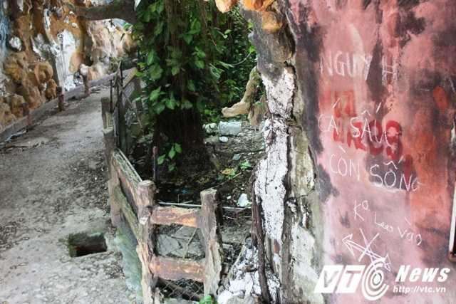 Thủy cung cũng đã từng có bể cá để nuôi cá phục vụ khách thăm quan và khu nuôi cá sấu với 3 con (con nặng nhất là 45kg và con nhẹ nhất là 35kg). Khi bị bỏ hoang ba con cá sấu vẫn ở chỗ cũ nên người dân phải ghi chữ để cảnh báo khách du lịch. Được biết, hiện ba con cá sấu này đã được chuyển vào nuôi tại một khách sạn ở thành phố Huế.