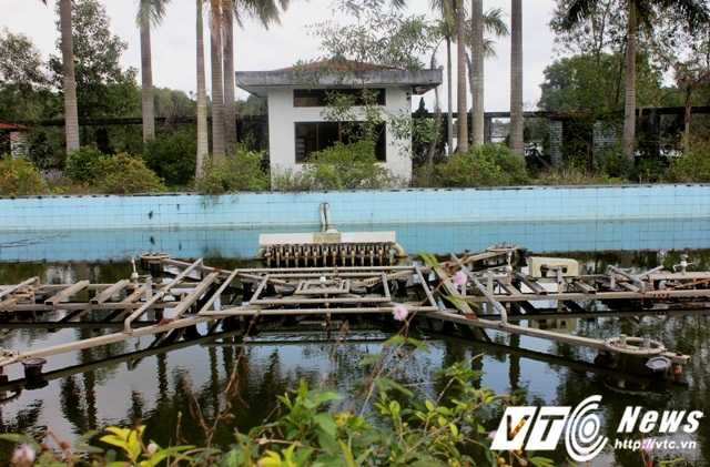 Khán đài nước nhạc cũng là một công trình hoành tránh, một thời lung linh bởi sóng nhạc với những màn biểu diện sôi động của các ca sĩ nhưng bây giờ cũng hưu quạnh và không kém phần kinh dị.