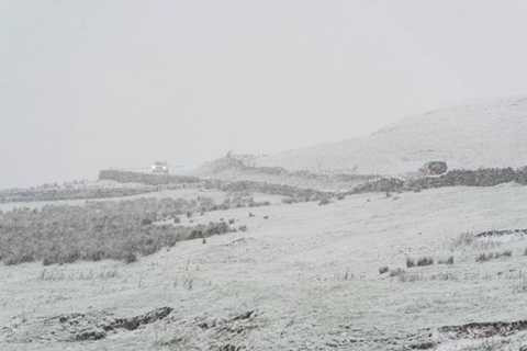 Theo dự báo, thời tiết lạnh sẽ tiếp tục kéo dài ở nước này đến hết tháng 3 Theo dự báo, thời tiết lạnh sẽ tiếp tục kéo dài ở nước này đến hết tháng 3