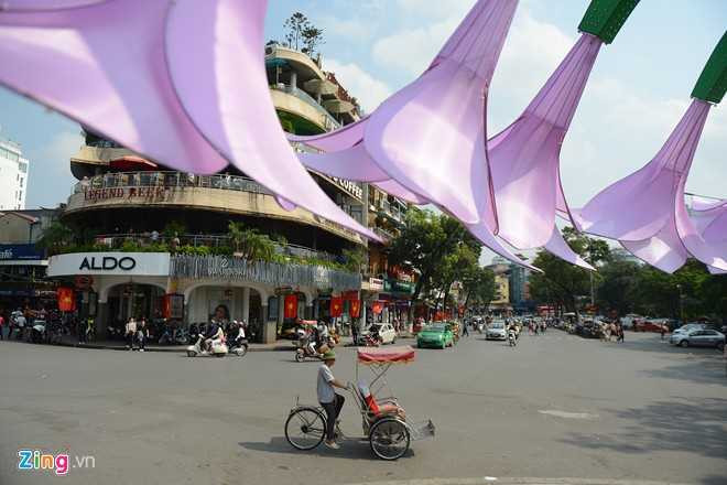 Tên loài hoa này được bàn tán sôi nổi trên mạng. Người cho rằng, đó là hoa rau muống, ý kiến khác khẳng định đây là hoa loa kèn. Nhiều người nói vui trông như hoa ăn thịt người trong chuyện cổ tích.