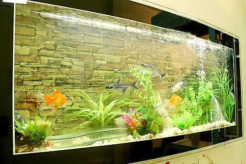 Mẹo phong thủy giúp 'tiền vào như nước'