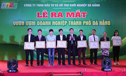 Đà Nẵng, Vườn ươm doanh nghiệp, Hội đồng điều phối, khởi sự