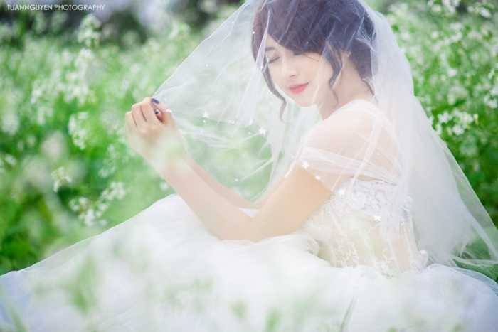 Nguyễn Kiều Trang