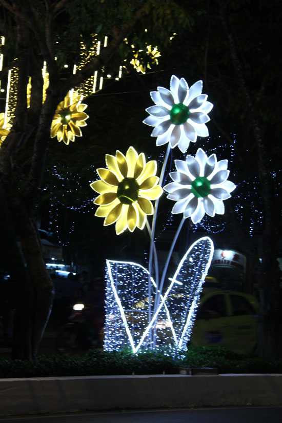 Cần Thơ rực rỡ sắc màu đón mừng năm mới