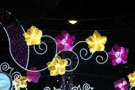 Cần Thơ rực rỡ sắc màu đón mừng năm mới