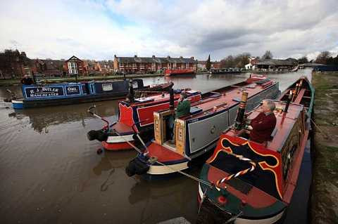 Chúng chọn kênh rạch làm địa điểm ẩn náu Chúng chọn kênh rạch làm địa điểm ẩn náu