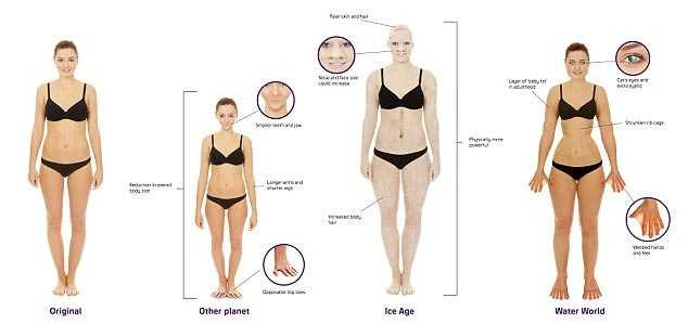 Hình mô phỏng cả nam và nữ biến đổi cơ thể trong 3 viễn cảnh ở tương lai. Ảnh: Daily Mail Hình mô phỏng cả nam và nữ biến đổi cơ thể trong 3 viễn cảnh ở tương lai. Ảnh: Daily Mail