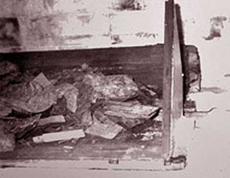 Quan tài Từ Hy thái hậu bị phá nát.