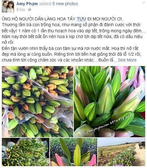 Những chia sẻ của cư dân mạng nhằm kêu gọi mọi người chung tay giúp đỡ bà con làng hoa Tây Tựu