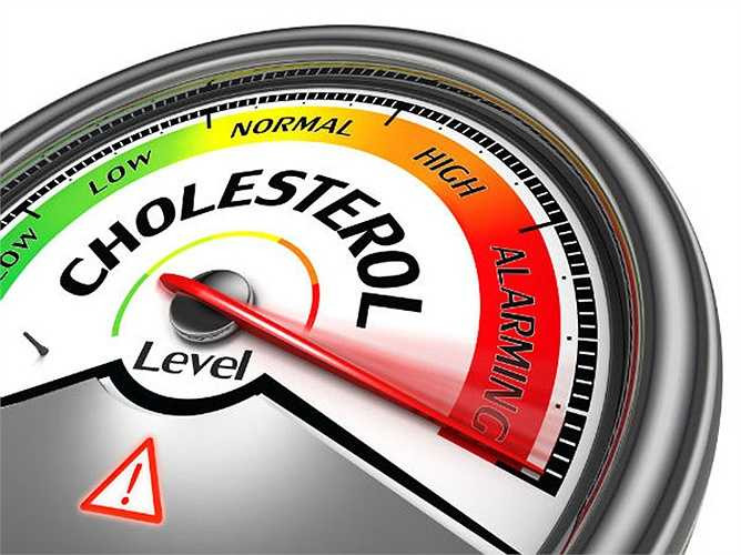 Giảm cholesterol: Các chất xơ hòa tan trong đậu lăng giúp hỗ trợ trong việc giảm mức cholesterol trong máu. Mức cholesterol hạ thấp giúp giảm nguy cơ bệnh tim, giảm nguy cơ đột quỵ và giữ cho động mạch luôn sạch.
