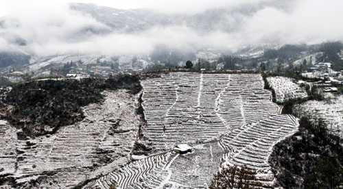 Tuyết có thể sẽ rơi ở miền Bắc và một số khu vực miền Trung (Ảnh minh hoạ)