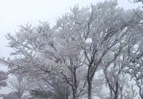 Đợt không khí lạnh sắp tới có thể gây mưa tuyết ở vùng núi (ảnh minh hoạ)