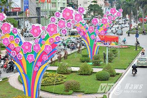 Hoa đào chuẩn bị đón Tết Nguyên đán 2016