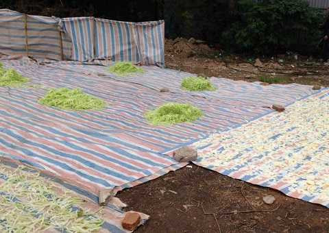 Mứt bẩn phơi dưới nền đất: Tiêu huỷ 250kg, phạt 1,5 triệu đồng