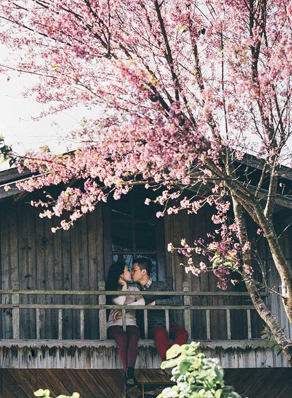 Bộ ảnh cưới lãng mạn