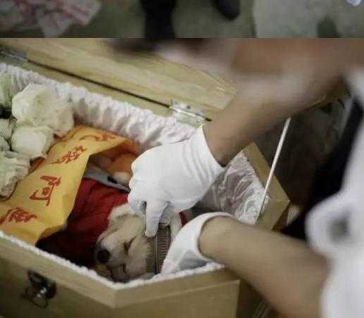 Những 'mốt' chơi ngông của đại gia Trung Quốc bất chấp kinh tế khó khăn