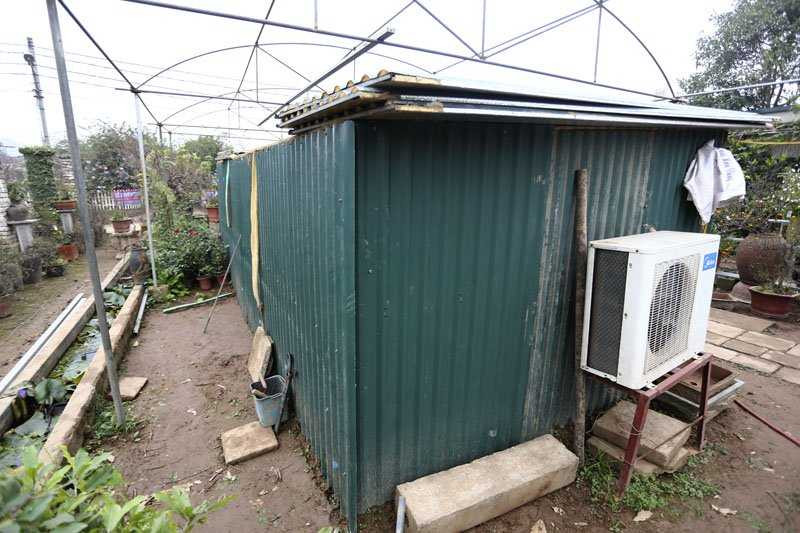 Không ai nghĩ những “lô cốt” quây tôn như thế này lại là nơi trồng đào