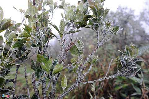 Là một trong những điểm đầu tiên của Việt Nam đón gió mùa đông bắc, lại nằm ở độ cao lớn so với mực nước biển nên Mẫu Sơn là điểm đầu tiên xuất hiện băng giá.