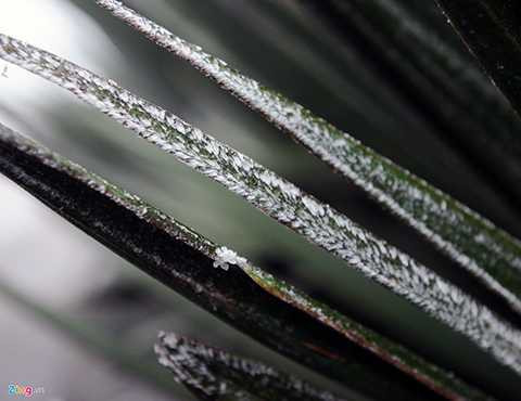 Dự kiến, hôm nay băng giá sẽ xuất hiện dày hơn. 