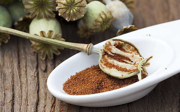 Hạt hoa anh túc được cho là thường xuyên làm gia vị cho một món lẩu đặc trưng nổi tiếng của Trung Quốc - Ảnh minh họa 