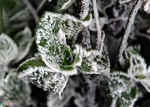 Là một trong những điểm đầu tiên của Việt Nam đón gió mùa đông bắc, lại nằm ở độ cao lớn so với mực nước biển nên Mẫu Sơn là điểm đầu tiên xuất hiện băng giá.