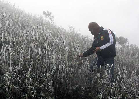 Rất nhiều du khách từ dưới xuôi đã đặt phòng từ trước với mục đích được ngắm băng và có thể là tuyết rơi. (Ảnh Hồng Vân - VNE)