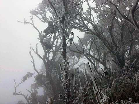 Khắp các đồi núi, băng tuyết phủ trắng xoá. Nhiệt độ đo được ở khu vực này là -6 độ. Nhiệt độ tại TP Cao Bằng sáng sớm 23-1 giảm còn 5-7 độ