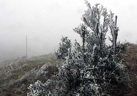 Tại sườn núi đón gió, băng bám dày và hướng theo chiều gió, nhìn như lưỡi kiếm (Ảnh: Hồng Vân/VNE)