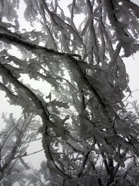 Băng giá ở Phia Oắc, Cao Bằng. (Ảnh: Đinh Hợi/VNE).