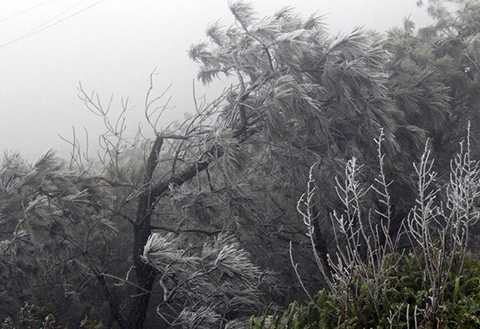 Cả ngày hôm nay Mẫu Sơn sương mù dày đặc, đứng cách nhau 5 m không nhìn thấy mặt người (Ảnh: Hồng Vân/VNE)