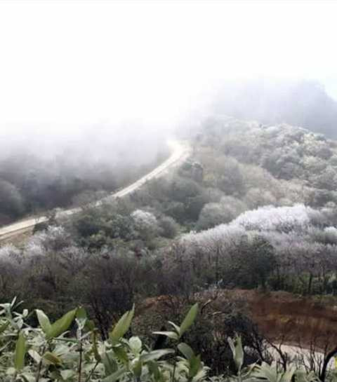 Các con đường ở phía Bắc huyện Nguyên Bình (Cao Bằng) có tuyết sáng nay (Vietnamnet