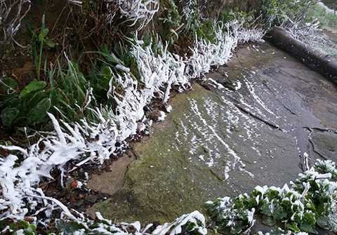 Cây cỏ gần mặt đất do đọng nhiều nước mưa nên băng kết dầy. Đường đi từ dưới chân núi lên đỉnh Mẫu Sơn rất trơn do băng giá. (Ảnh: Hồng Vân/VNE)