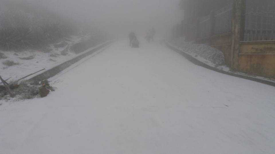 Trên Mẫu Sơn (Lào Cai) sáng 24/1 (Ảnh: Kim Liên)