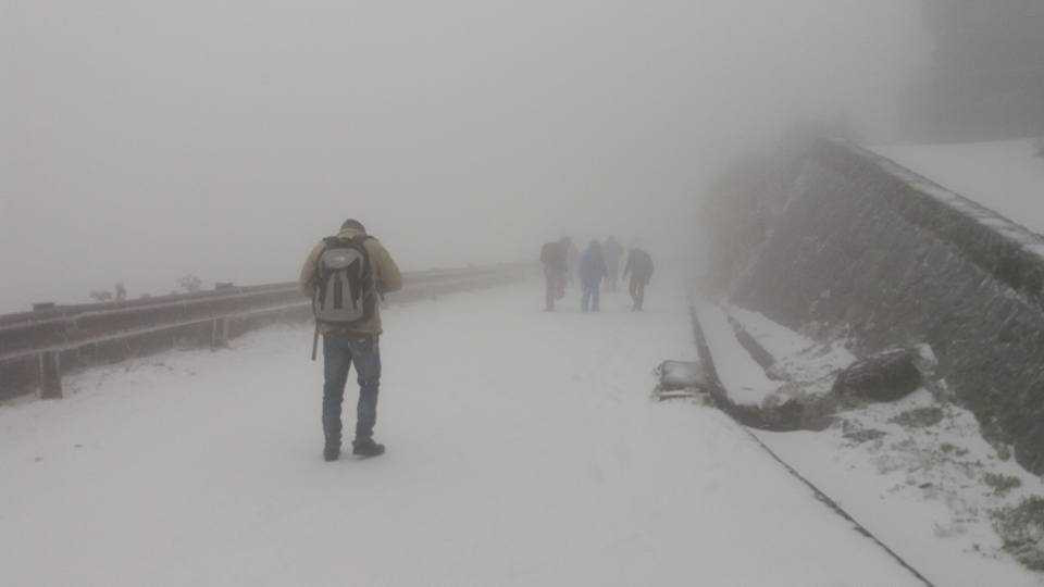 Tuyết phủ trắng xoá khắp mọi nơi(Ảnh: Kim Liên)