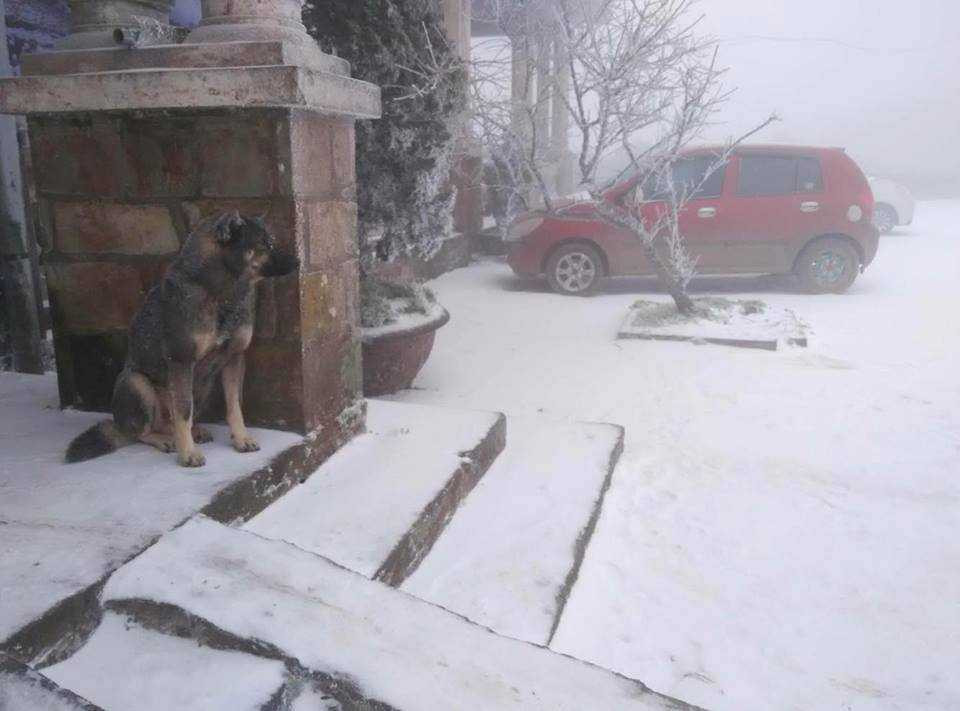 Những khu vực nào đang có tuyết rơi