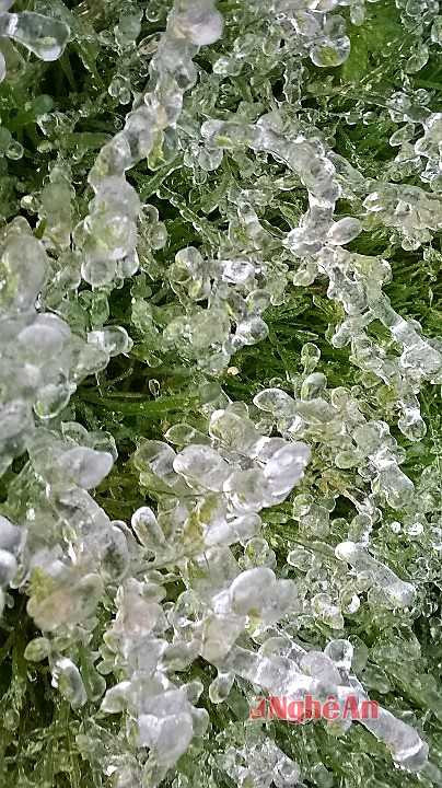 Những khu vực nào đang có tuyết rơi