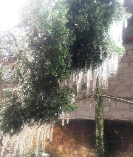 Những khu vực nào đang có tuyết rơi