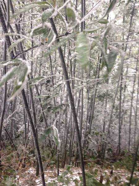 Những khu vực nào đang có tuyết rơi